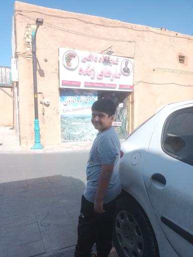 عکس نمایشگاه مارهای زنده