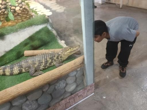 عکس نمایشگاه مارهای زنده