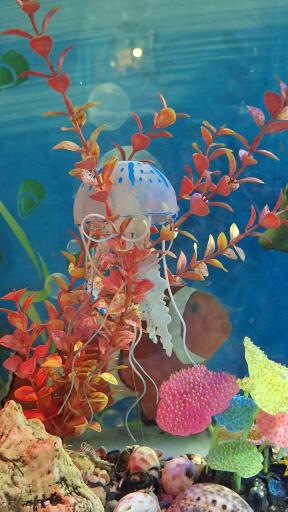 عکس نمایشگاه مارهای زنده