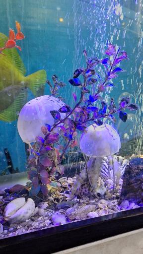 عکس نمایشگاه مارهای زنده