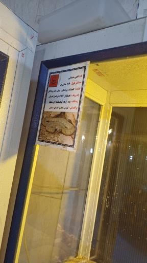 نمایشگاه مارهای زنده