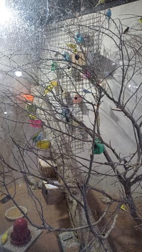 عکس نمایشگاه مارهای زنده