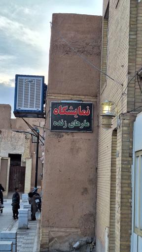 نمایشگاه مارهای زنده