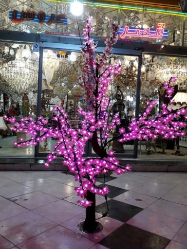 عکس قصر عروس