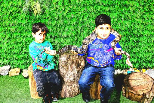 نمایشگاه مارهای زنده