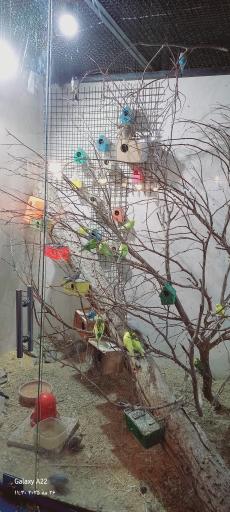 عکس نمایشگاه مارهای زنده