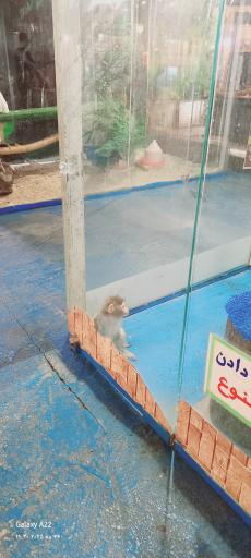 عکس نمایشگاه مارهای زنده