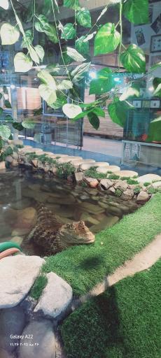 عکس نمایشگاه مارهای زنده