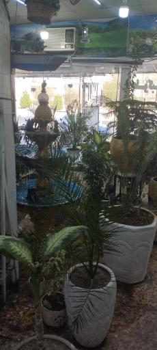عکس کباب سرای سعید 