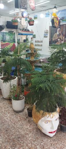 عکس کباب سرای سعید 