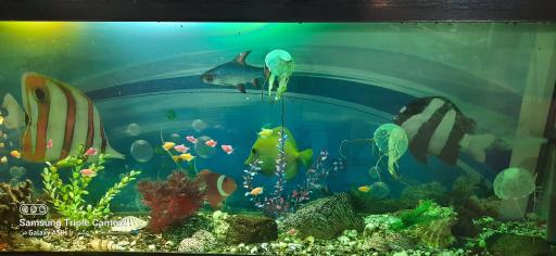 عکس نمایشگاه مارهای زنده