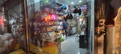 پت شاپ رکس (عرشیا)