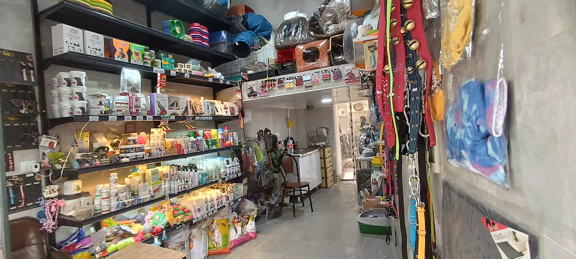 عکس پت شاپ رکس (عرشیا)