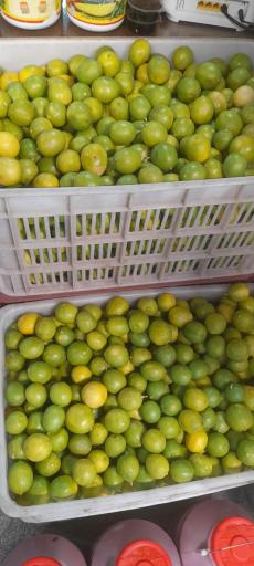 عکس آبلیموی نمونه