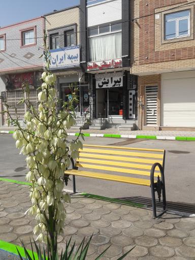 عکس پیرایش حامد