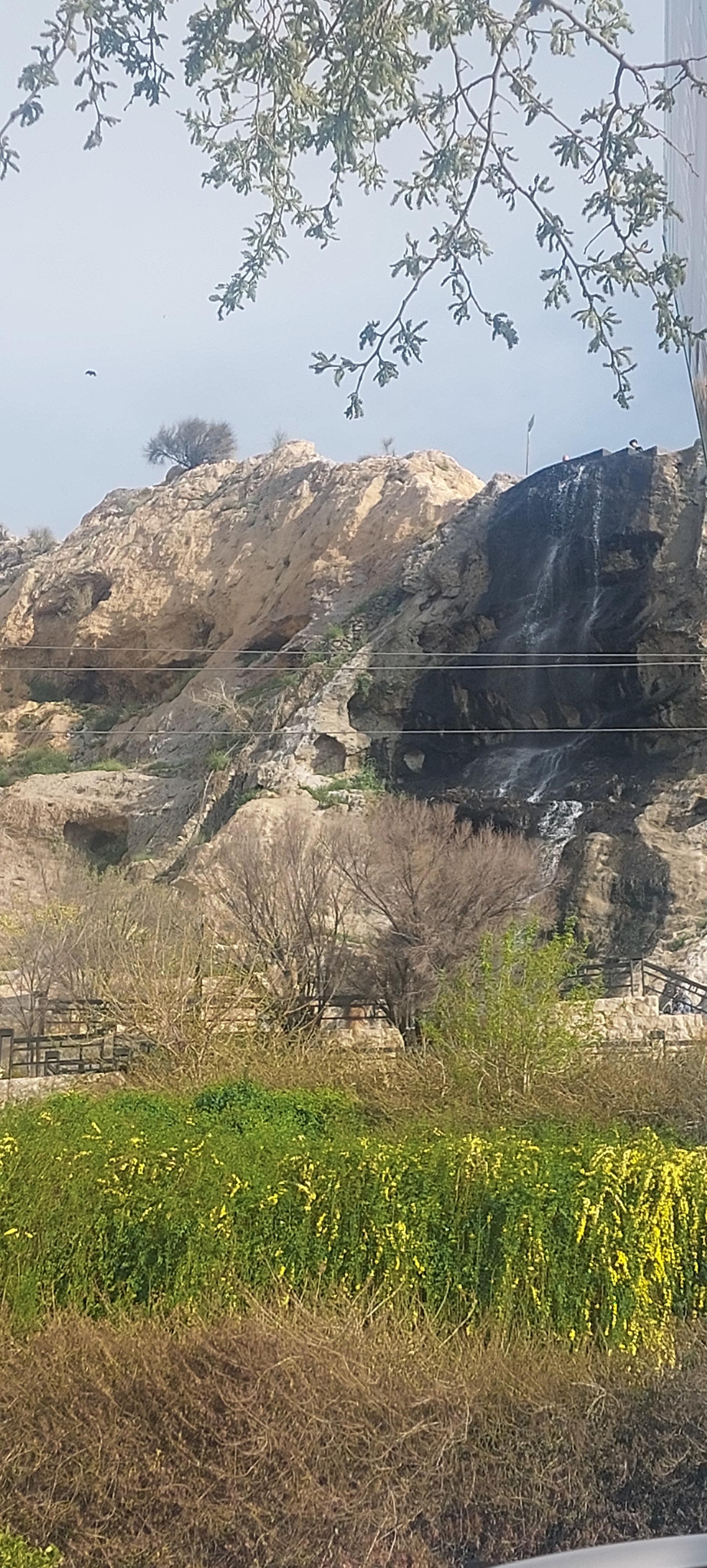 عکس بوستان قلعه بندر