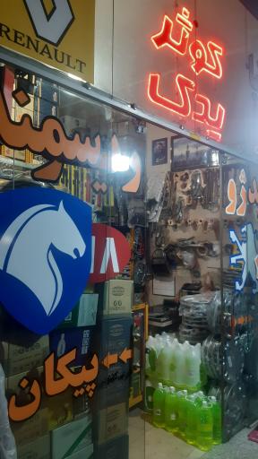 عکس کوثر یدک