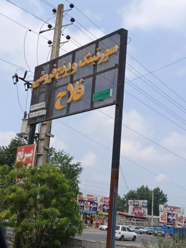 عکس سورتینگ و برنج فروشی جواد فلاح