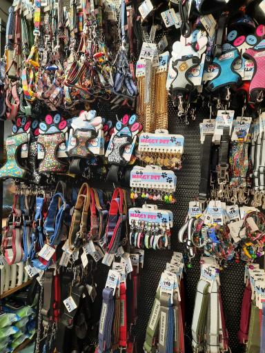 عکس پت شاپ پشمک