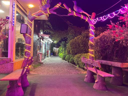 اسکمو وحید شعبه مرکزی