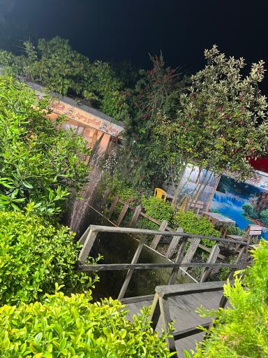 عکس اسکمو وحید شعبه مرکزی