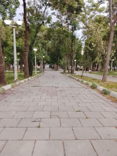 عکس پارک شیخ شلتوت