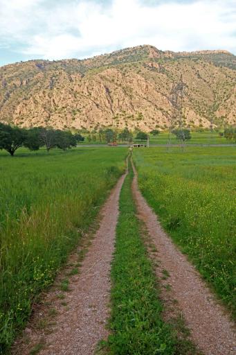 عکس قائمیه