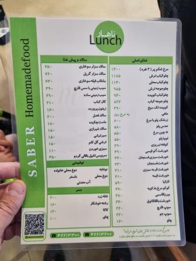 عکس غذای خانگی صابر