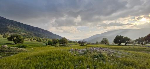 عکس قائمیه