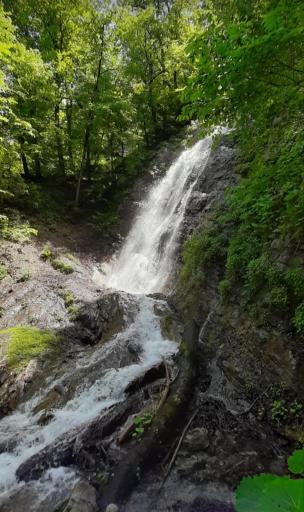 عکس دره گناوه