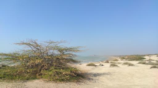 عکس دره گناوه