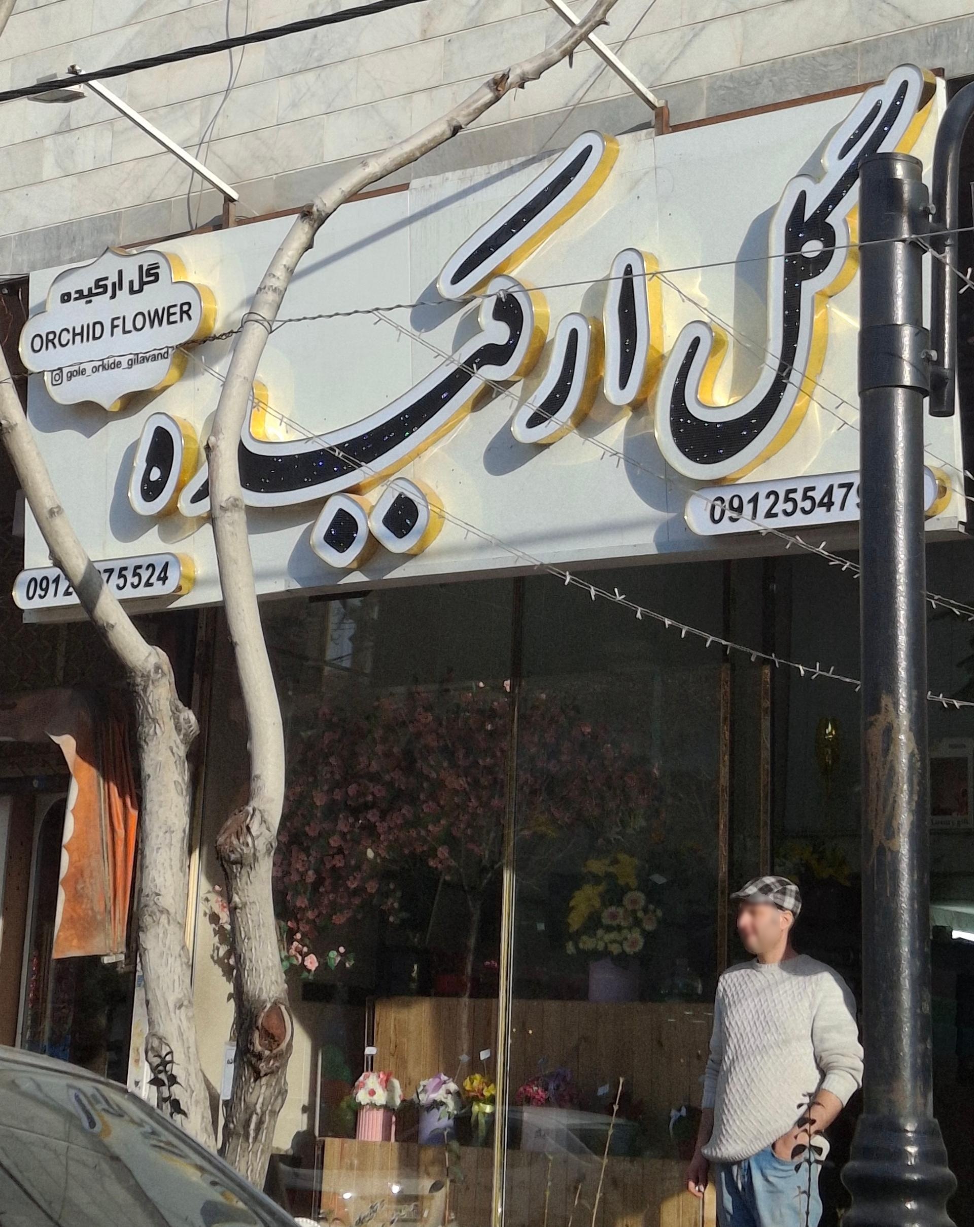 عکس گل ارکیده