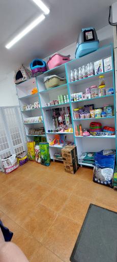 عکس پت شاپ نوبل فومن 