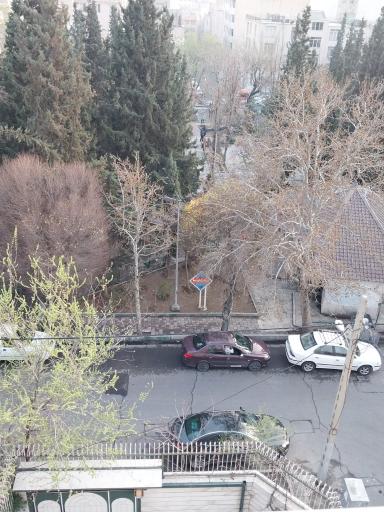 عکس بوستان آوای صبا