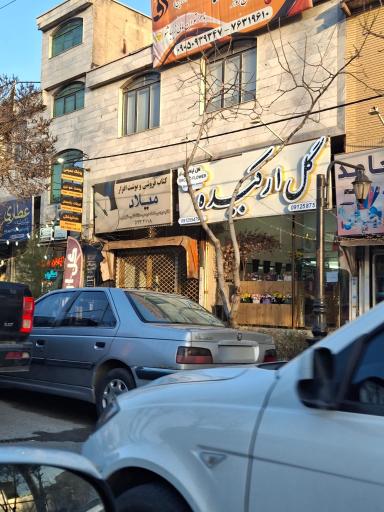 عکس گل ارکیده