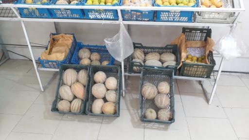 عکس میوه فروشی پادگان 