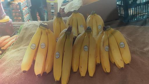 عکس میوه سرای مهدی