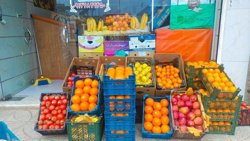 عکس میوه سرای مهدی