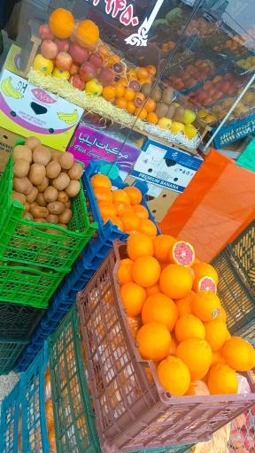 عکس میوه سرای مهدی