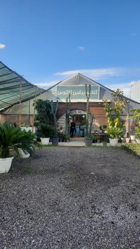 عکس گلخانه پرشین کاکتوس