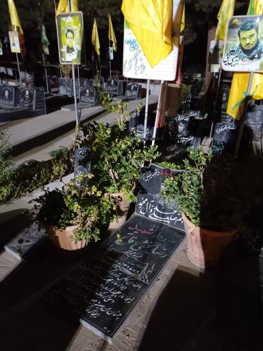 عکس گلزار شهدای فاطمیون