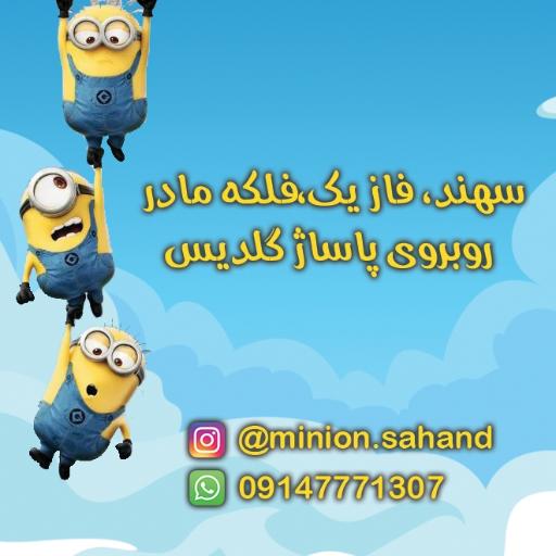 عکس گالری پوشاک بچه گانه مینیون