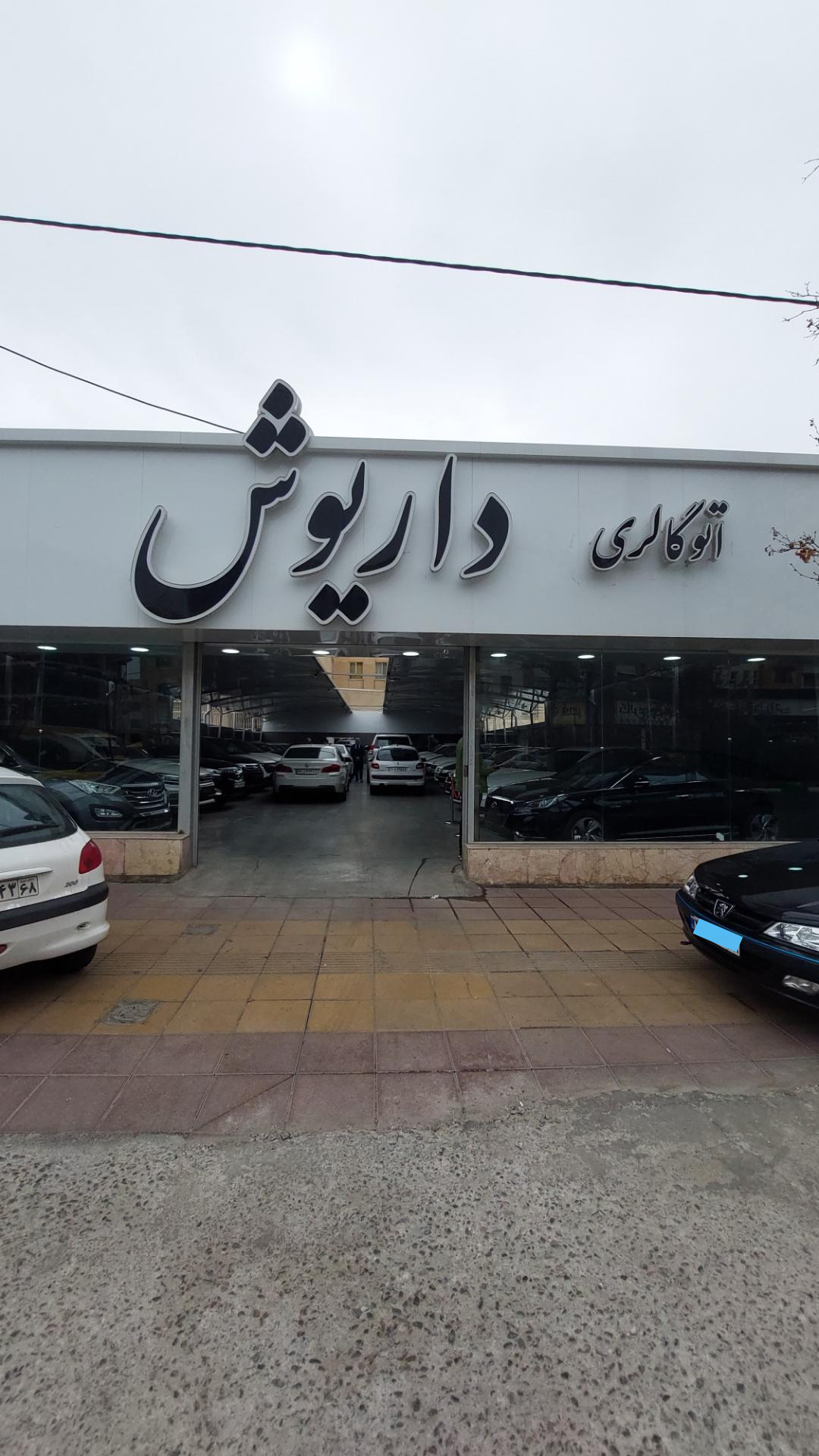 عکس اتوگالری داریوش 