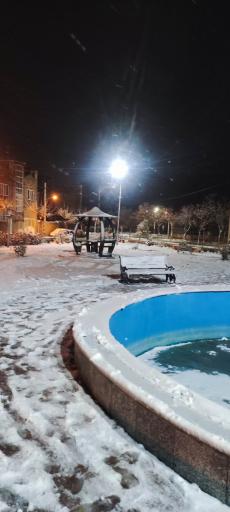 عکس بوستان ارغوان