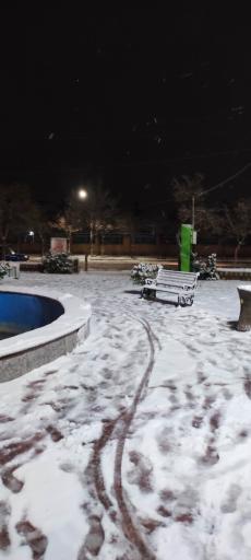 عکس بوستان ارغوان