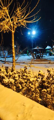 عکس بوستان ارغوان