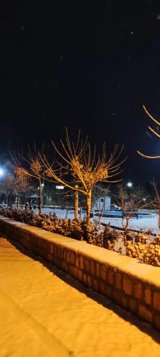 عکس بوستان ارغوان