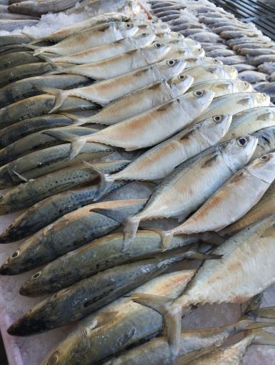 عکس مرکز پروتئین‌شهر