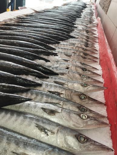 عکس مرکز پروتئین‌شهر