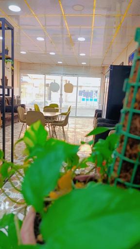 عکس صبحانه و فست فود باجیلار